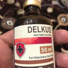 DELKUS INJECTABLE veterinary product in labeled pharmaceutical packaging supplied by Equine Pharma World.