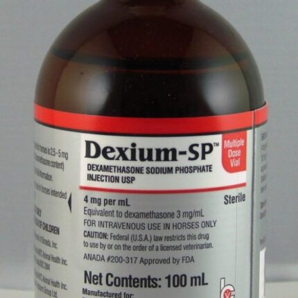 DEXIUM-SP INJECTION veterinary product in labeled pharmaceutical packaging supplied by Equine Pharma World.