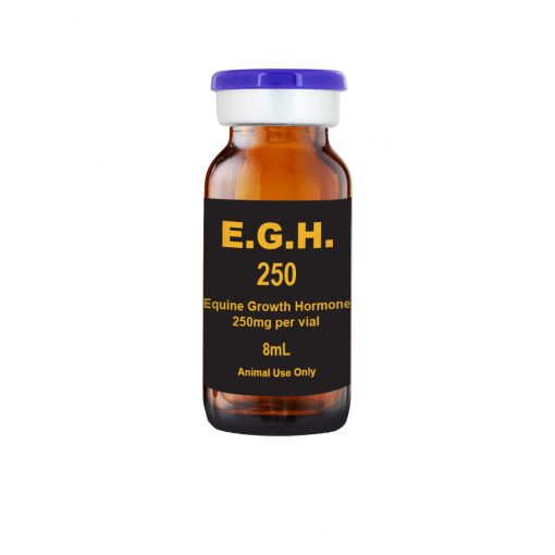BUY-EGH-10-ml-vial-Equine-Growth-Hormone-Online.jpg