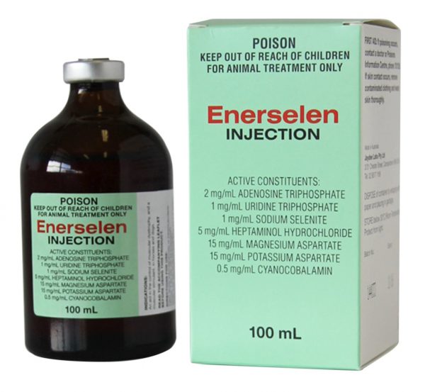 BUY-ENERSELEN-INJECTION-100ML-ONLINE.jpg