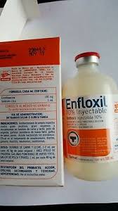 BUY-ENFLOXIL-ONLINE.jpg