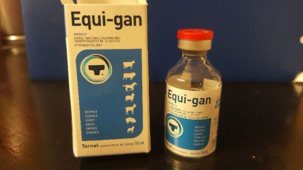 BUY-EQUI-GAN-ONLINE.jpeg