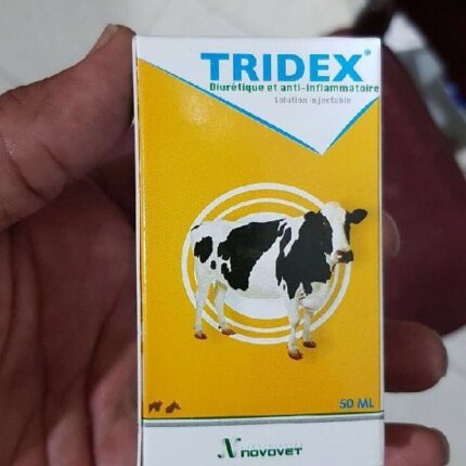 TRIDEX