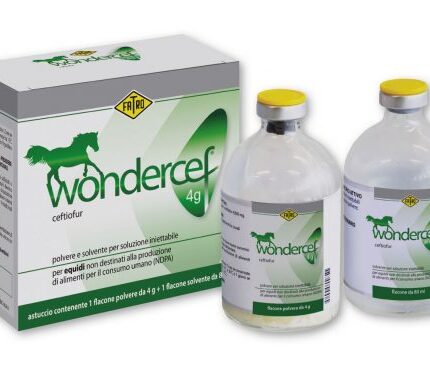 WONDERCEF
