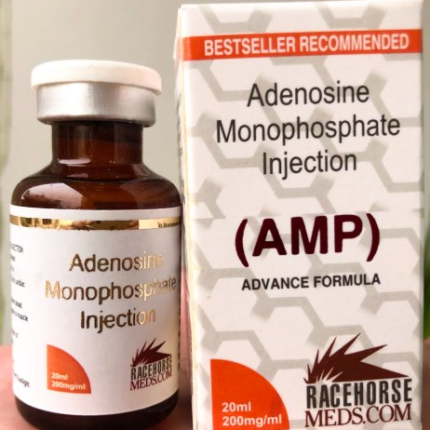 Adenosine Monophosphate Injection (AMP)