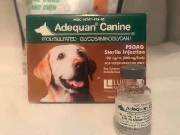 Buy-Adequan-Canine-Online.jpeg
