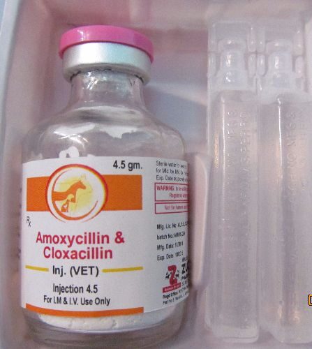 Buy-Amoxicillin-Injection-Online.jpeg
