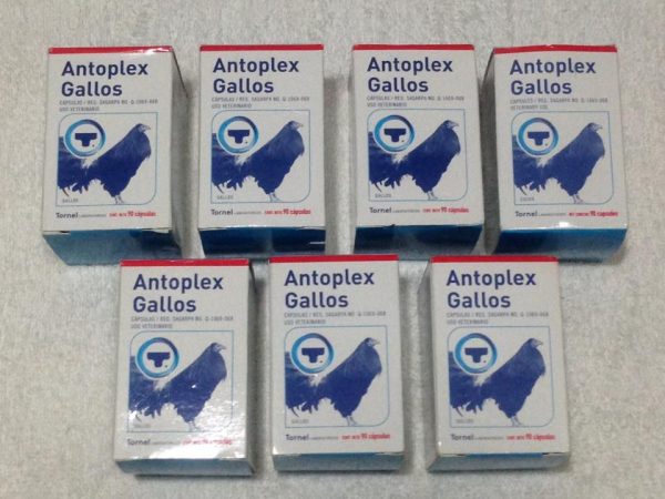 Buy-Antoplex-Gallos-Online.jpeg