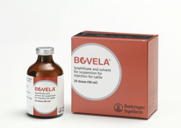 Buy-Bovela-Online.jpg