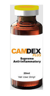 Camdex plus