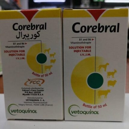 Corebral veterinary product in labeled pharmaceutical packaging supplied by Equine Pharma World.