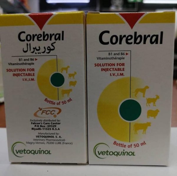 Corebral veterinary product in labeled pharmaceutical packaging supplied by Equine Pharma World. Corebral veterinary product in labeled pharmaceutical packaging supplied by Equine Pharma World.