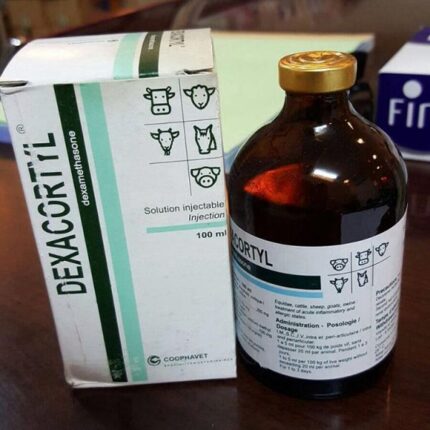 Dexacortyl 100ml veterinary medication in pharmaceutical packaging supplied by Equine Pharma World.