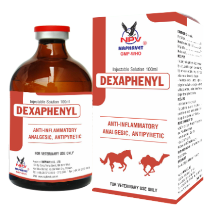 Dexaphenyl veterinary product in labeled pharmaceutical packaging supplied by Equine Pharma World.