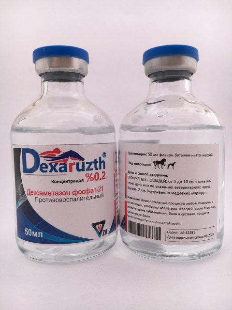 Buy-Dexaruzth-Online.jpg