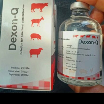 Dexon Q