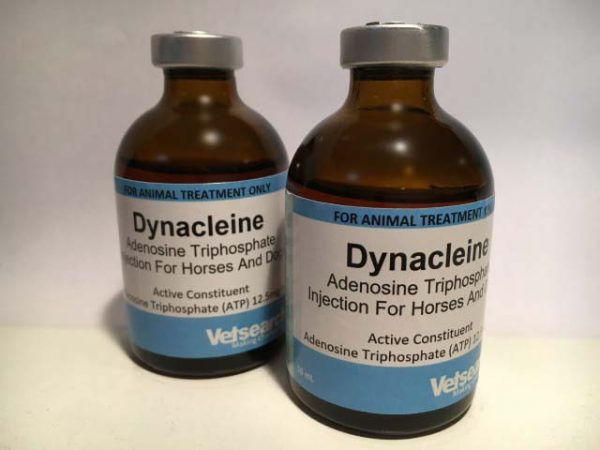 Buy-Dynacleine-Online.jpg