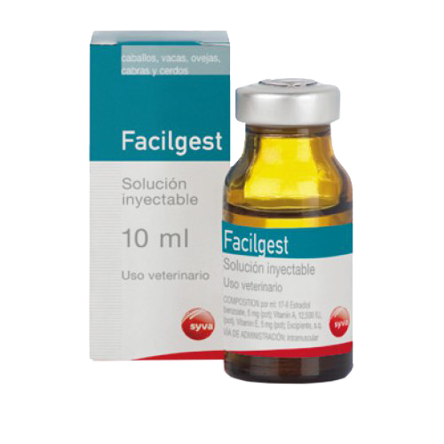 Buy-Facilgest-Online.png