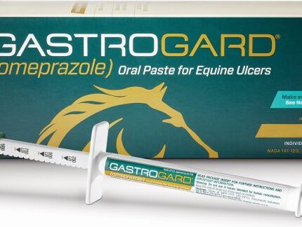 Analytical-grade GastroGard omeprazole oral paste syringe in a veterinary laboratory setting, supplied by Equine Pharma World.