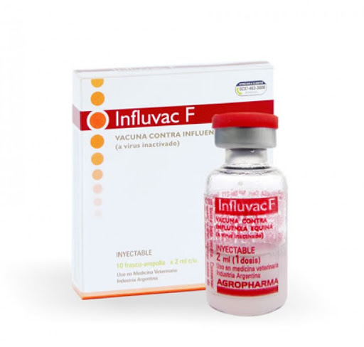 Buy-Influvac-F-Online.jpg