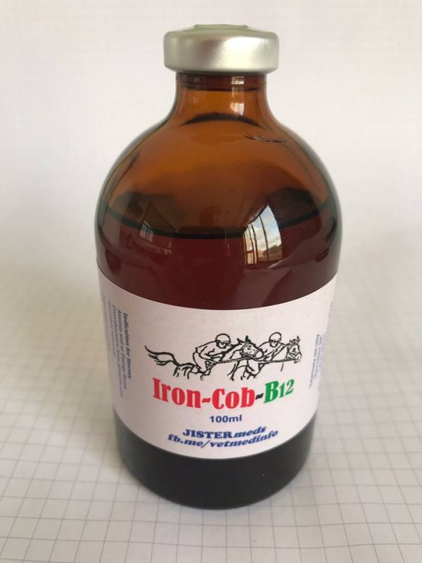 Buy-Iron-Cob-B12-100ml-Online.jpeg