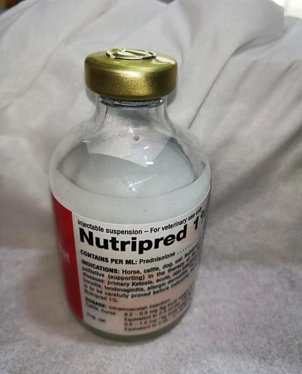 Buy-Nutripred-Online.jpeg