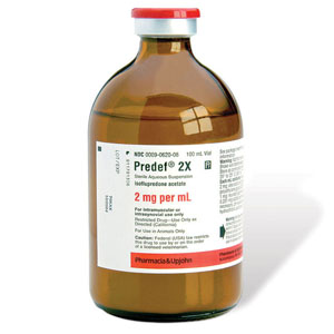 Buy-Predef-2X-Online.jpeg