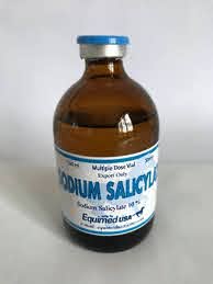 Analytical-grade Sodium Salicylate Injection vial in a veterinary laboratory setting, supplied by Equine Pharma World.
