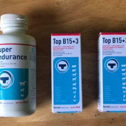 Top B15+3