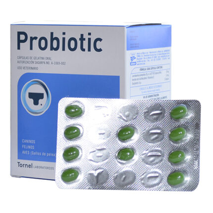 Analytical-grade Tornel ProBiotic Lactobacillus capsules in a veterinary laboratory setting, supplied by Equine Pharma World.