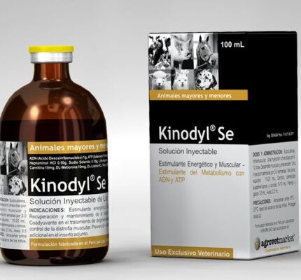 Kinodyl Injection